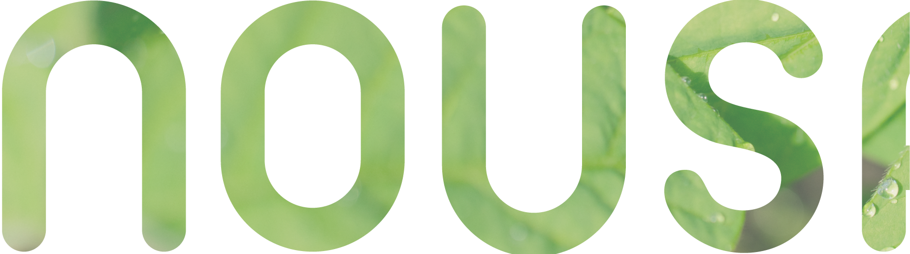 nousapo